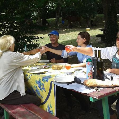 Ferme Equestre Des Abrons Villa Pailloles Dış mekan fotoğraf