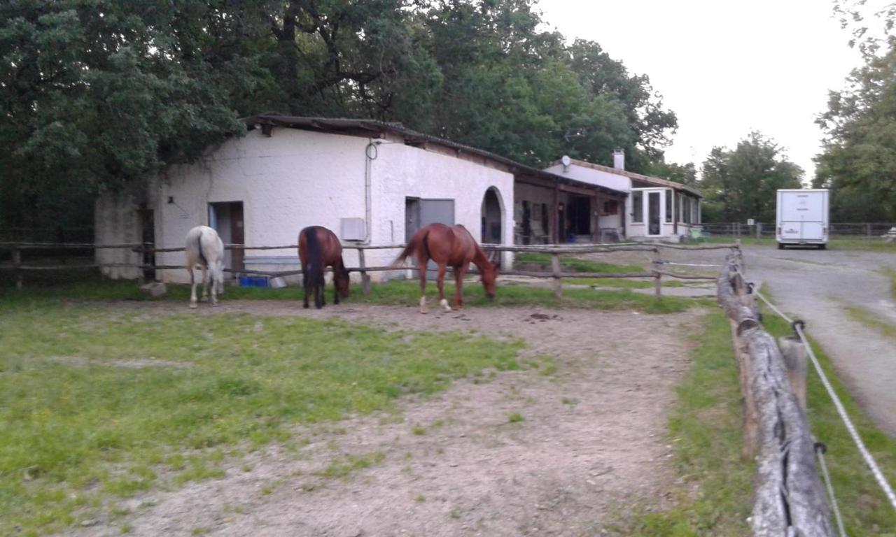 Ferme Equestre Des Abrons Villa Pailloles Dış mekan fotoğraf