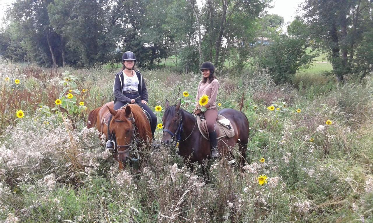 Ferme Equestre Des Abrons Villa Pailloles Dış mekan fotoğraf